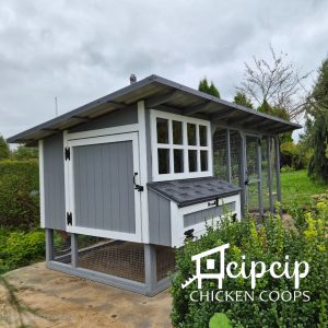 CipCIp Vistu māja Compact