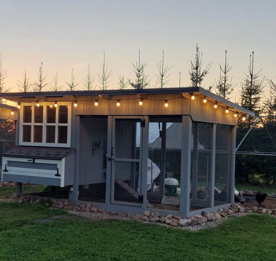 CipCip "Standarta" Vistu Māja (5-15) putniem. - Image 4