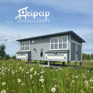 Maxi CipCip vistu māja kūts